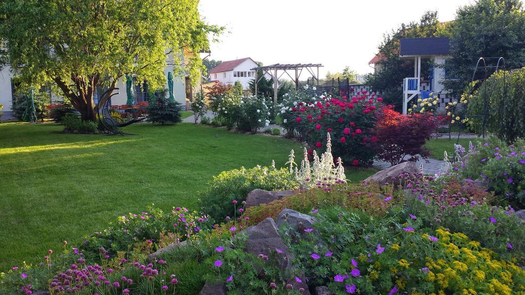 Villa Westfalia Guest House Tîrgu Secuiesc Buitenkant foto